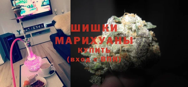 хмурый Аркадак