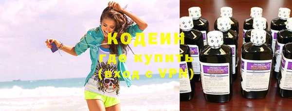 хмурый Аркадак