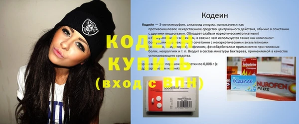 хмурый Аркадак
