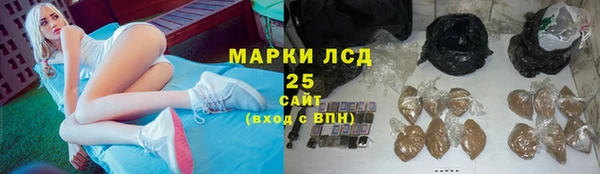 амф Арсеньев
