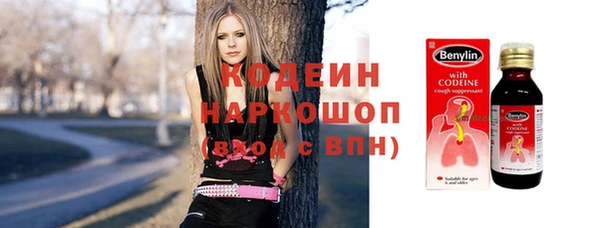 хмурый Аркадак