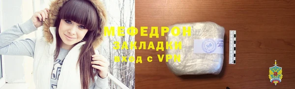 хмурый Аркадак