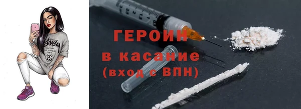 хмурый Аркадак