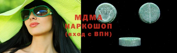 хмурый Аркадак