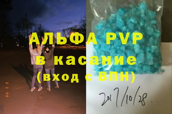 хмурый Аркадак