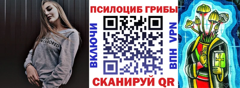 купить закладку  Полевской  Галлюциногенные грибы MAGIC MUSHROOMS 